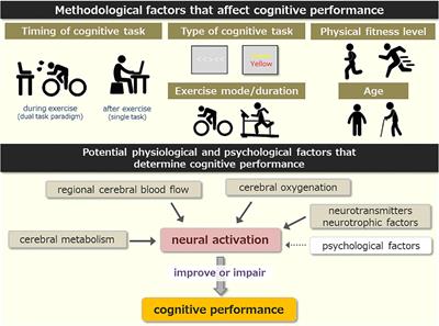 The effects of acute high-intensity aerobic exercise on cognitive performance: A structured narrative review